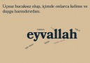 HADİ EYVALLA (KESİNLİKLE İZLE)