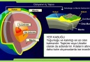 Hafıza Teknikleriyle YGS Coğrafya, Dünyanın İç Yapısı