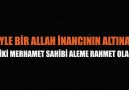 Hafız Mustafa Hoca Kutlu Doğum Özel Ders