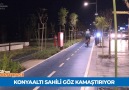 Haftanın Panoraması (30 Temmuz - 5 Ağustos)