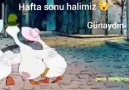 HAFTA SONU HALİMİZ GÜNAYDIIIN