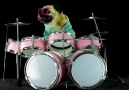 Hahaha ! Enter Sandman pug cover