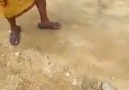 Hahaha... gaduh besar... - Jom Santai2 Bossku