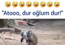 Hahahahahaha ..Ato sen bu temiz kalpli insandan ne istedin Guneka ha