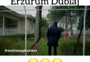 HahahahahaKara Sevda - Erzurum Dublaj