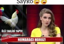 Hahaha horoza bakın