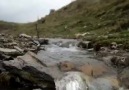Hakan İşler - Biranina meta nazeSöz . Hakan İşler...