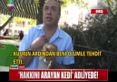 HAKKINI ARAYAN KEDİ ADLİYEDE!