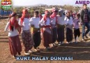 halay ile çatlatmalıyız KÜRT HALAY DÜNYASI