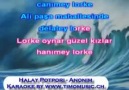 HALAY POTPORİ (KARAOKE star)