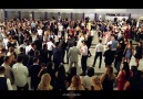 HALAY TV - HERKESE REZİL EDERİMGURUP YARDIL