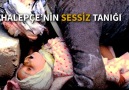 Halepçe'nin Sessiz Tanığı