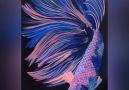 Halfmoon Betta will be available in... - BombChelle Creations