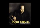 Halil Erkal-Gesi Bağları