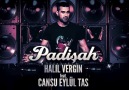 Halil Vergin feat. Cansu Eylül Tas - Padisah