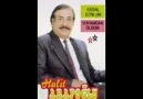 HALİT ARAPOĞLU-DEMEMİŞEM