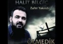 Halit Bilgiç-Dayê