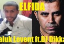 Haluk Levent ft.DJ Dikkat - Elfida (Ercik Remix)