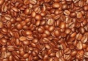 Hamarat Hatun - Zekanı Test Etmeye Hazirmisin