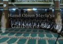 Hamd Olsun Mevla'ya GALİBİLERİZ BİZ