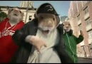 Hamster Commercial