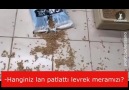 Hanginiz patlattı lan levrek meramızı