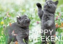 HAPPY   WEEKEND