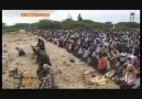 Harakat ash-Shabaab al-Mujahideen (NASHEED)