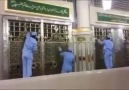 Haram heroes cleaning the golden grills of the Rawdhah
