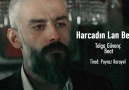 Harcadın lan beni!