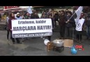 Harçlardan önce son makarna #harclarahayir