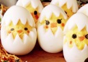 Hard Boiled Egg Chicks