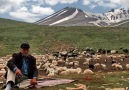 Hargını Bağlamış Bostan Suluyor ( u.h)