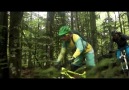 Harika Bir Ormanda Zorlu Enduro Bisiklet Parkuru_Vosges, Fransa
