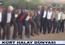 HARİKA HALAY ÇEKİYORLAR KEWJALKÎ HALAY