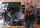 Harlem shake :D :D