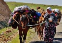 harmanında düenine diş olsam parmagında yüzüne kaş olsam