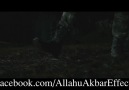 Harry Potter Allahu Akbar Sahnesi