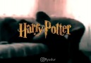 Harry Potter 9 dan ilk teaser geldi sgjjfsfjsnzgjfz