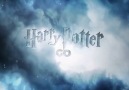 Harry Potter Go