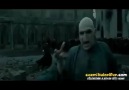 Harry Potter - Recep İvedik Montajı