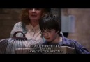 Harry Potter: The Quest