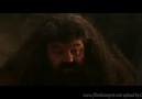 Harry Potter ve Felsefe Taşı Bölüm 3 [HD]
