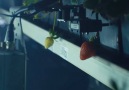 Harvesting strawberries is a breeze with these smart robotsvia