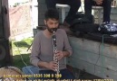 hasan delen ve ekibi müzik ziyafeti