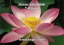 Hasan Sağındık - Tahayyül