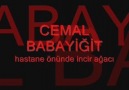 HASTANE ÖNÜNDE İNCİR AĞACI-CEMAL BABAYİĞİT