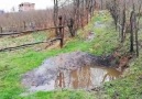 Hasta ziyaretine giden Ordu lu