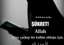 Hatice Cil - Çok şükür lemlerin Rabbi olan &quotALLAH&