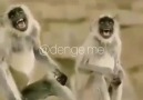 Hatice Uçar - Kaldınız mı bayramda da evde